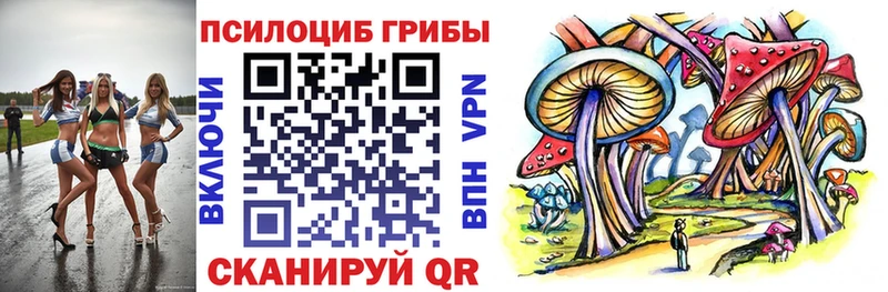 Псилоцибиновые грибы мицелий  что такое   Салехард 